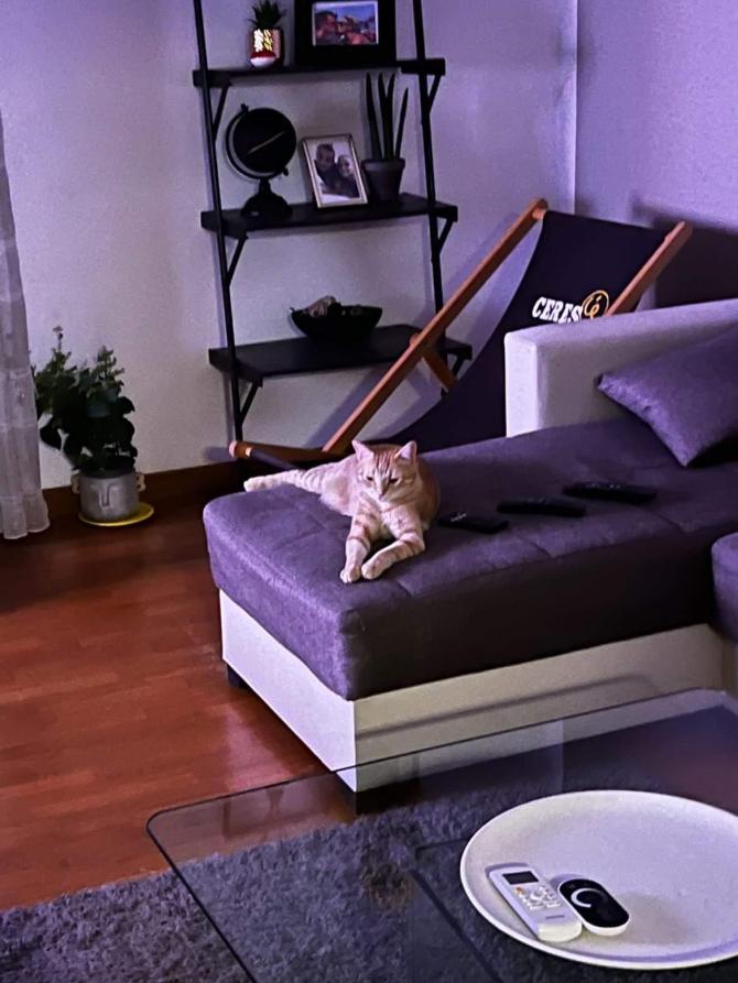 Foto inviata da Paolo Bianco