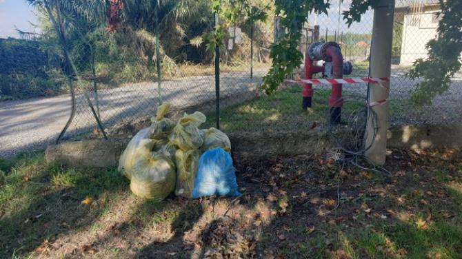 Puliamo Trino Legambiente