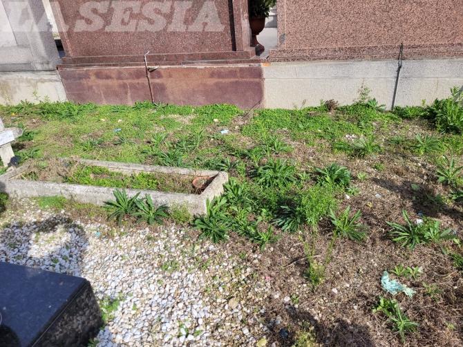 Cimitero Cappuccini