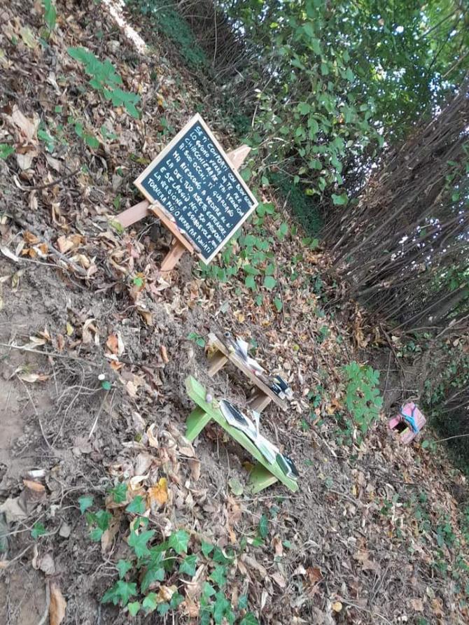 Bosco degli gnomi Miagliano