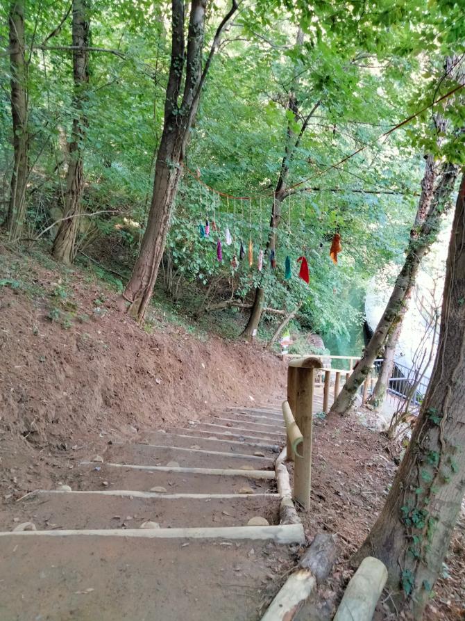 Bosco degli gnomi Miagliano