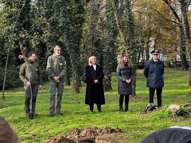 Giornata dell'albero 2022 Lanino