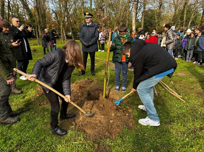 Giornata dell'albero 2022 Lanino