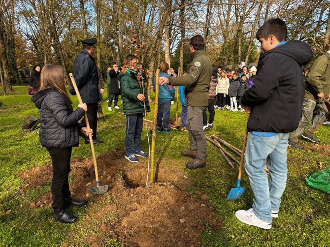 Giornata dell'albero 2022 Lanino