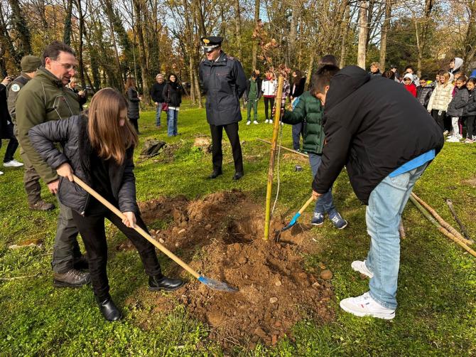 Giornata dell'albero 2022 Lanino