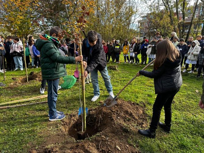Giornata dell'albero 2022 Lanino