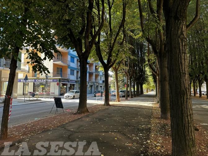Maltempo Vercelli