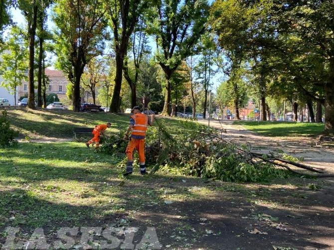 Maltempo Vercelli