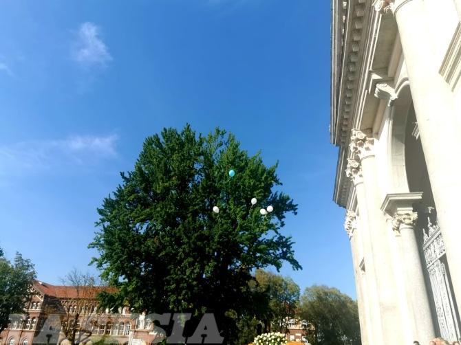 Funerale Zanera