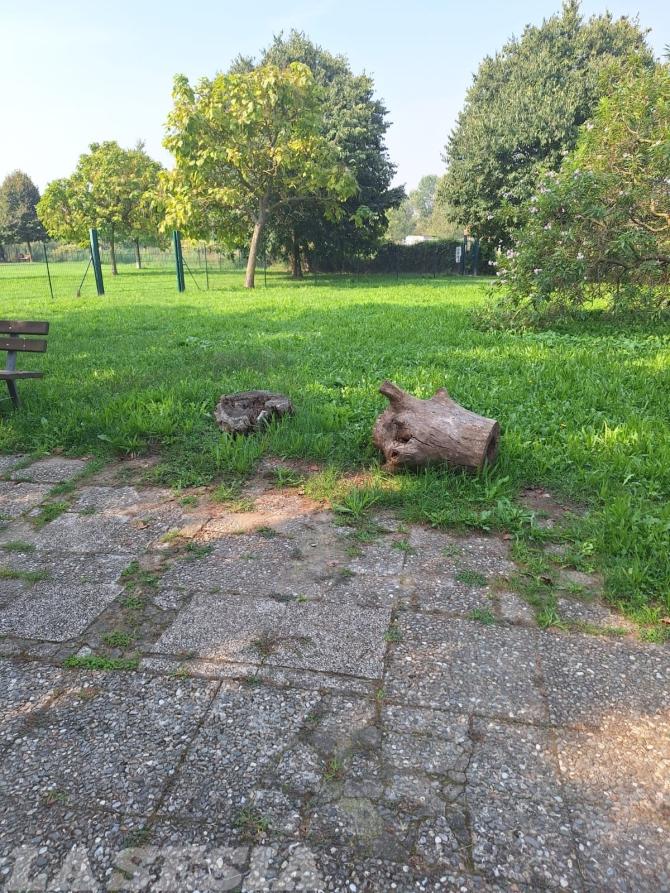 Parco via Cantarana
