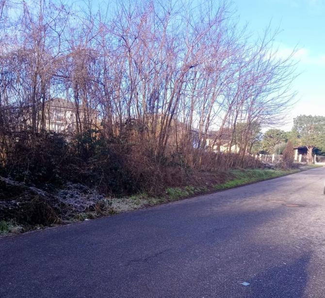 Zona Bertagnetta: "Illuminazione e segnaletica orizzontale carente"