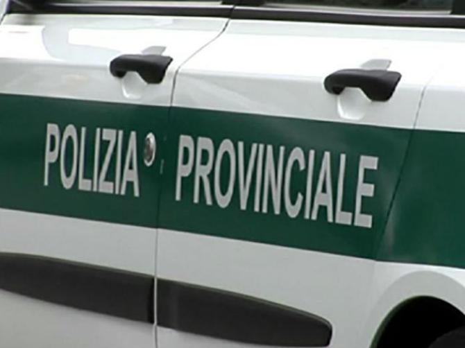 Polizia provinciale
