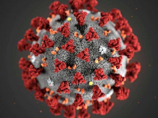 Coronavirus Covid