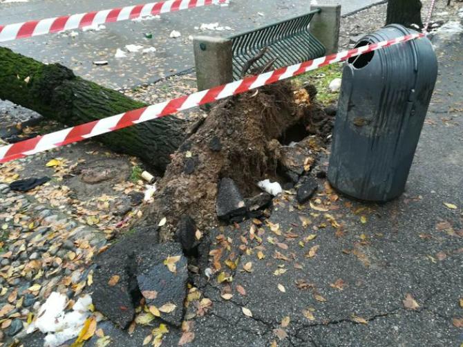 Viale Garibaldi