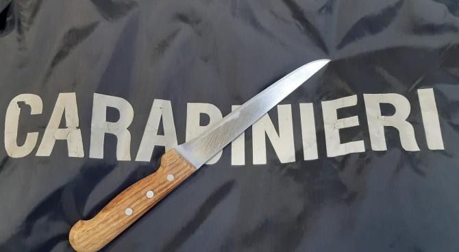 coltello da cucina