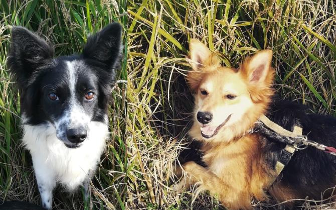 Lupin e Mars