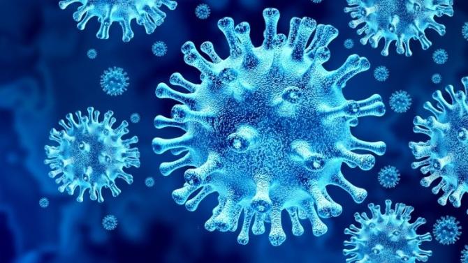 Coronavirus Covid