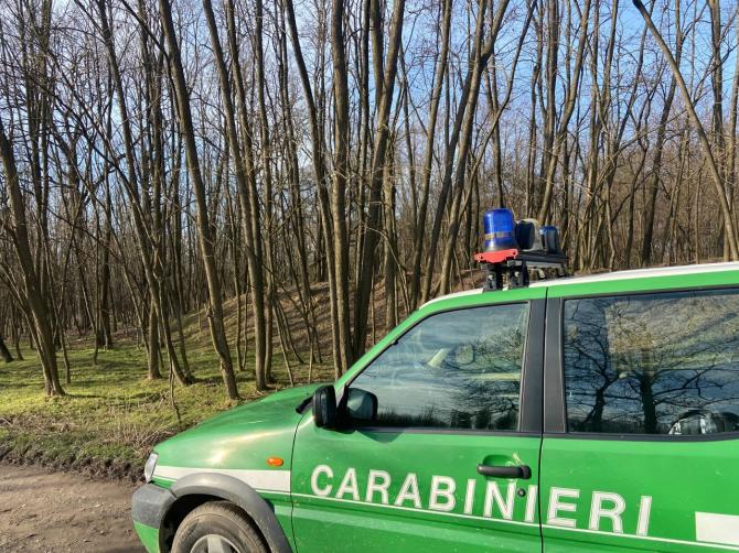 Carabinieri forestale