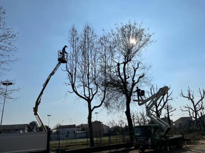 Potatura in corso nella zona del campo sportivo San Bernardo