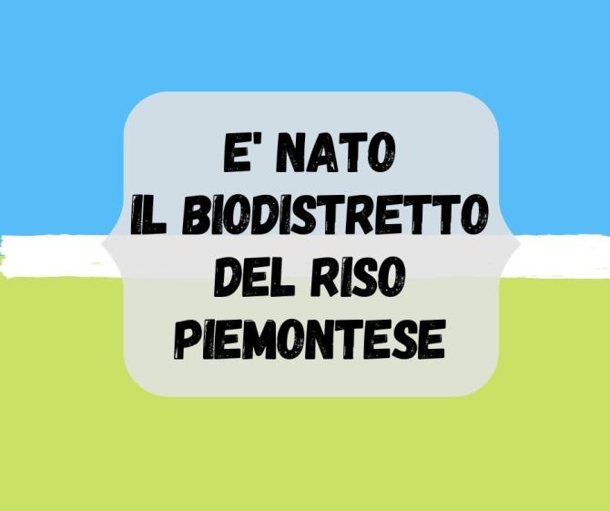 Biodistretto del riso piemontese