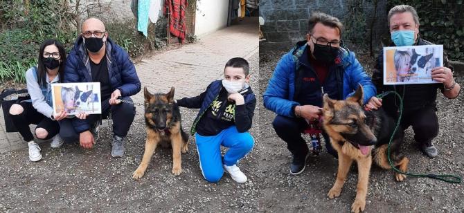 Cani adottati