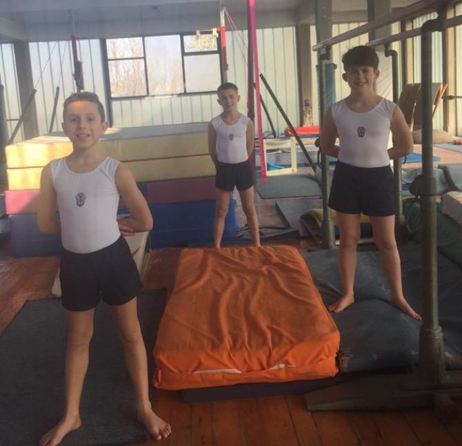 Ginnastica Pro Vercelli