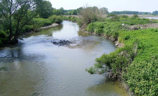 Torrente Bona