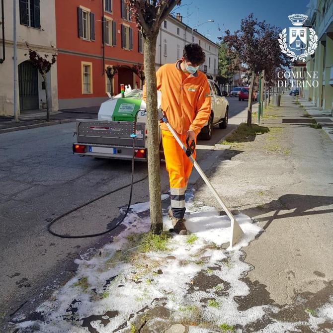 Trino: partite le operazioni di diserbo "ecologico"