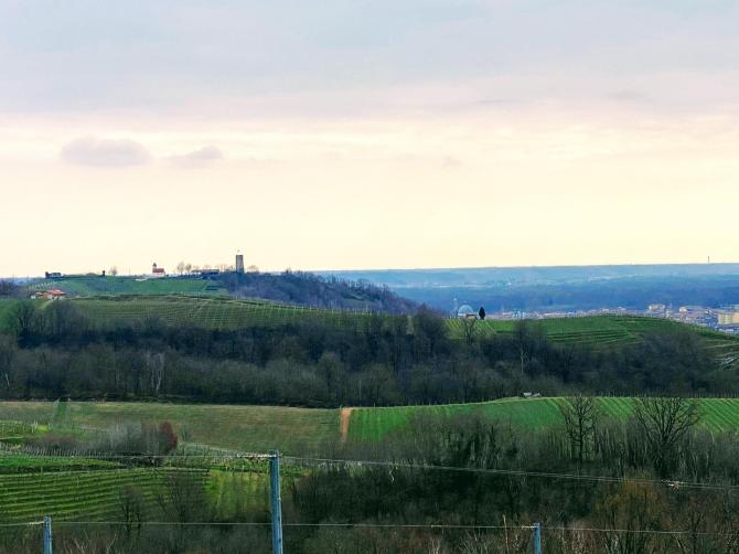 Gattinara
