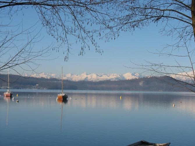 Viverone
