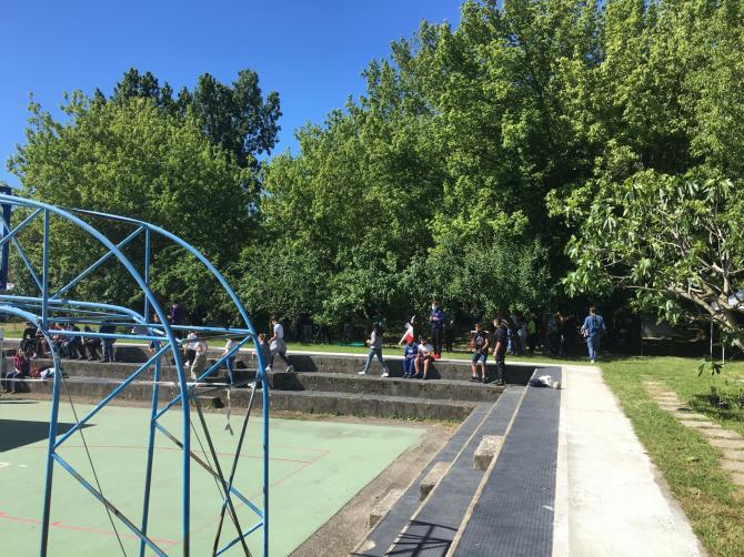 Al Bosco Parco della Pertini interventi di rivegetazione