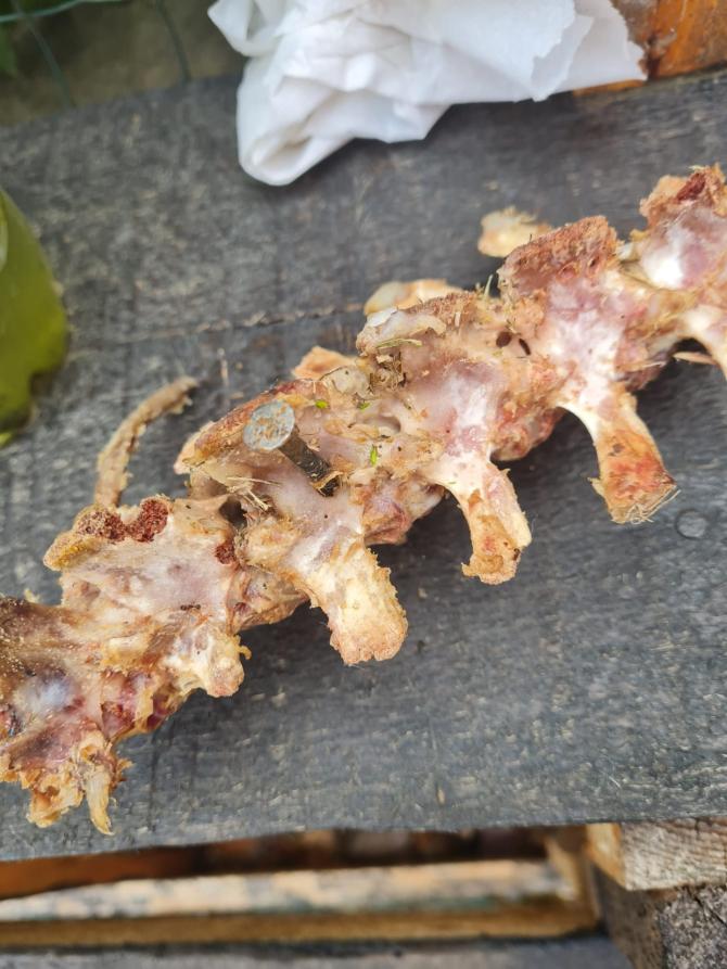 boccone con chiodi