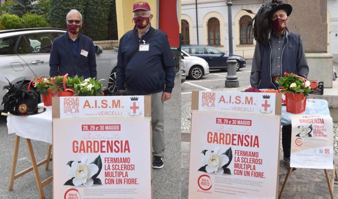 Tronzano Aism