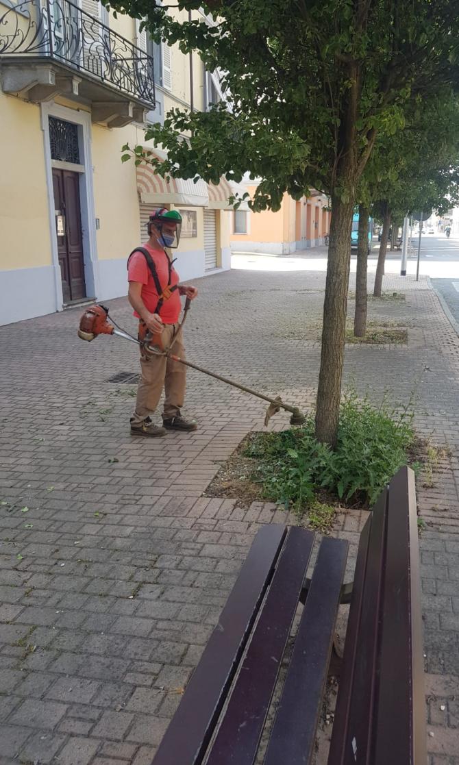 Disebo Trino