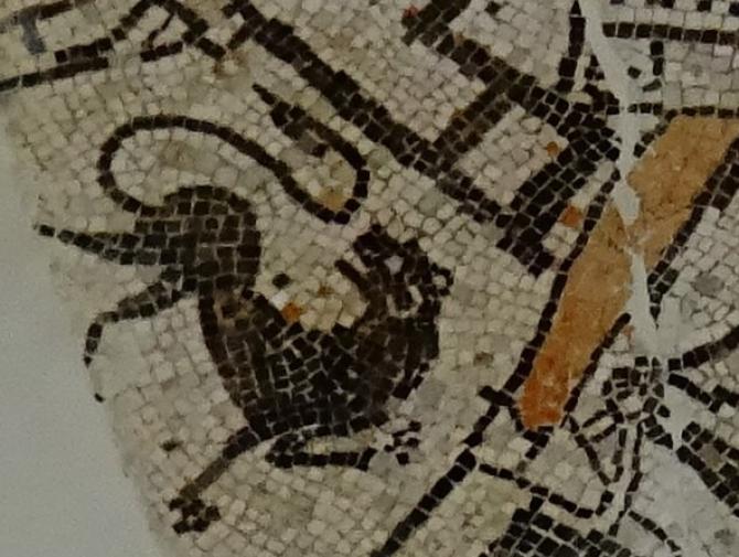 Museo Leone mosaico