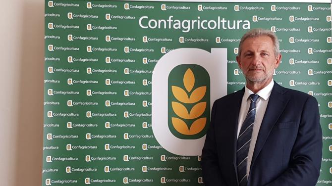 Benedetto Coppo