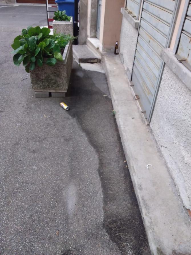 Gattinara mala movida