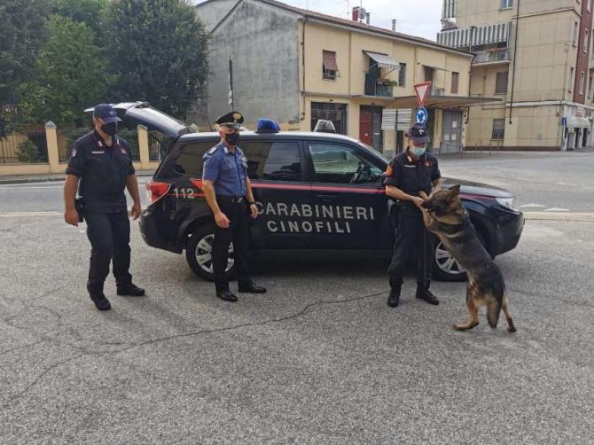 Casale carabinieri unità cinofila