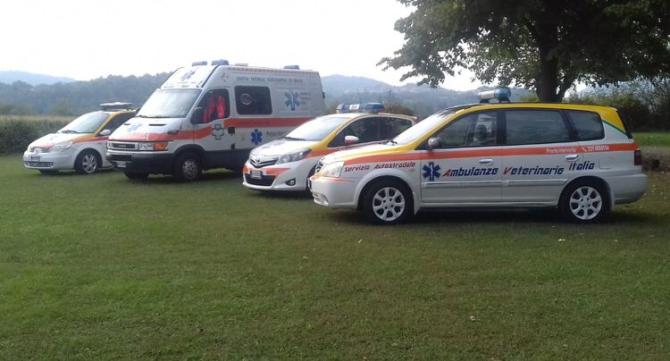 "La città avrà la disponibilità di un'ambulanza veterinaria"