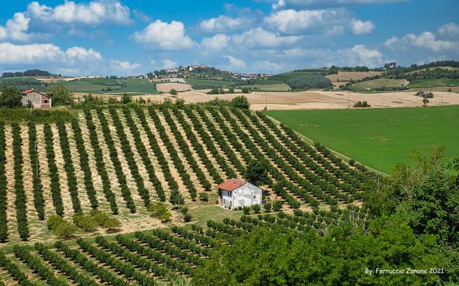 Monferrato