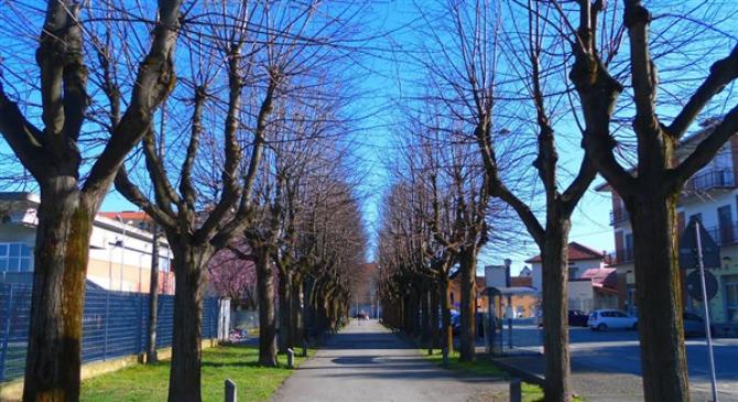 Cigliano