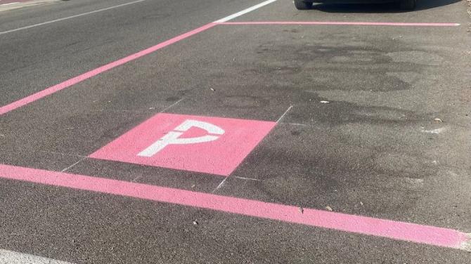 posteggio rosa