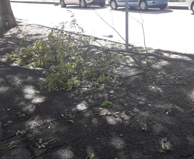 Viale Torricelli