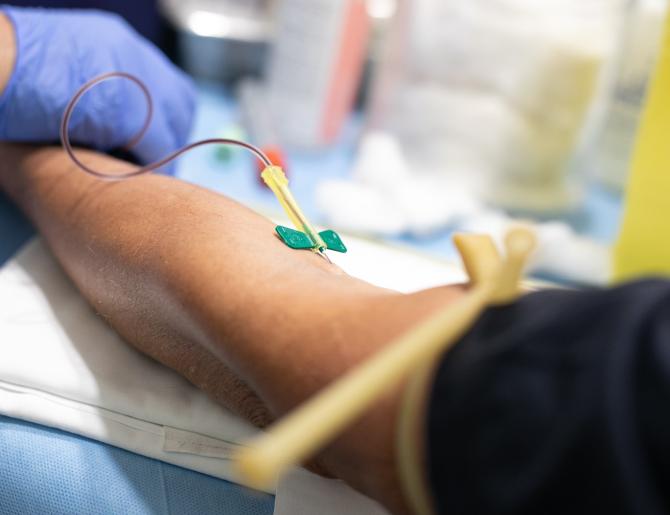 Prelievo di sangue