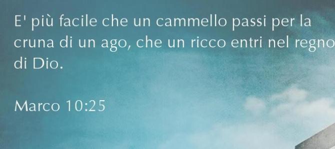 cammello cruna