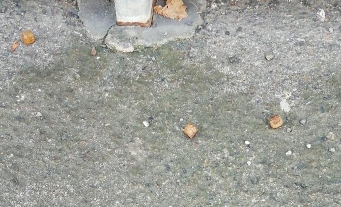 Polpette avvelenate