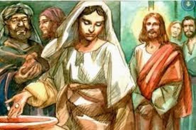 Vangelo del 7 novembre