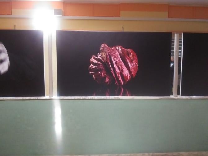 Carla Crosio "Cancri"