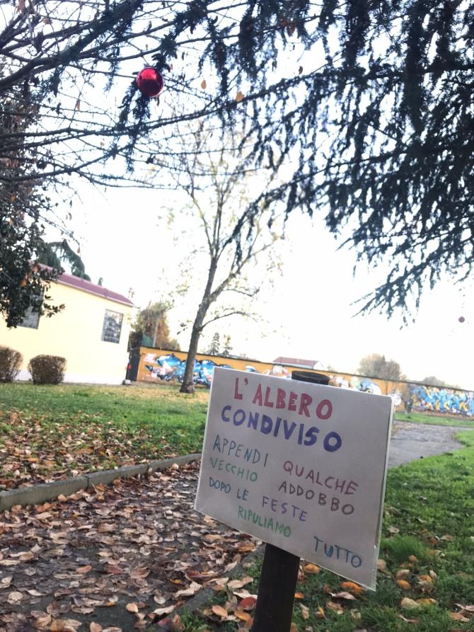 Trino albero condiviso