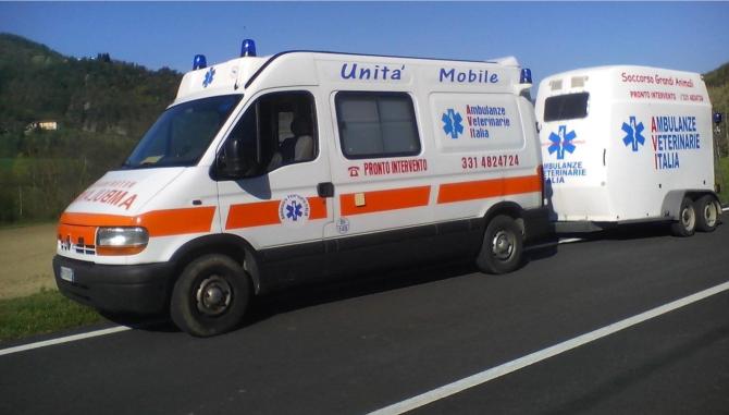 Ambulanza veterinaria